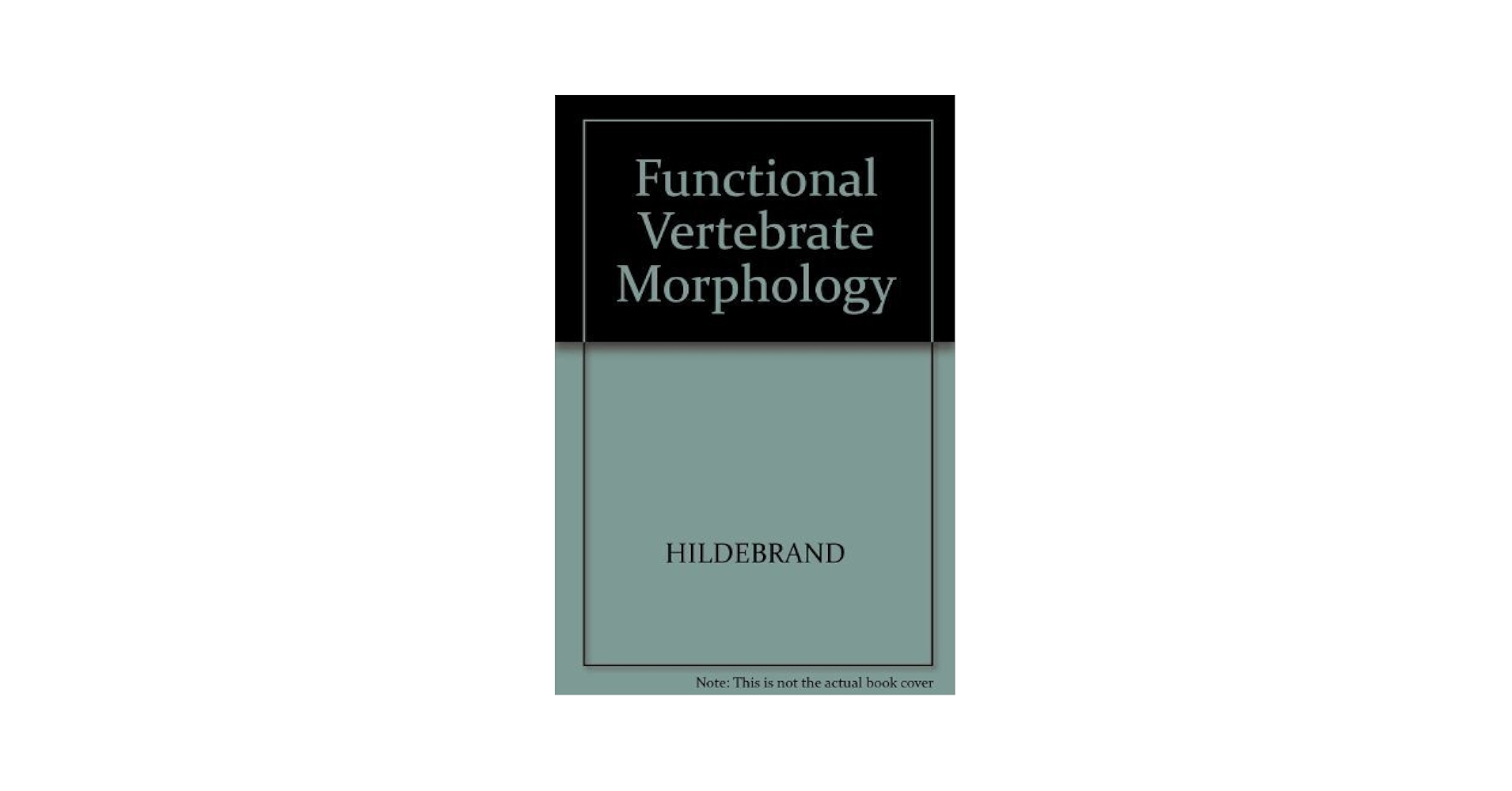 Functional Morphology in Vertebrate Thomason， Jeffrey J. Functional Morphology in Vertebrate Paleontology: Thomason
